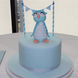 Baby Shower Owl Custom Cake